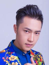 刘成州明星,星光璀璨的演艺之路